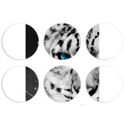 Магнитные фотопазлы круги d55 набор 6 штук 