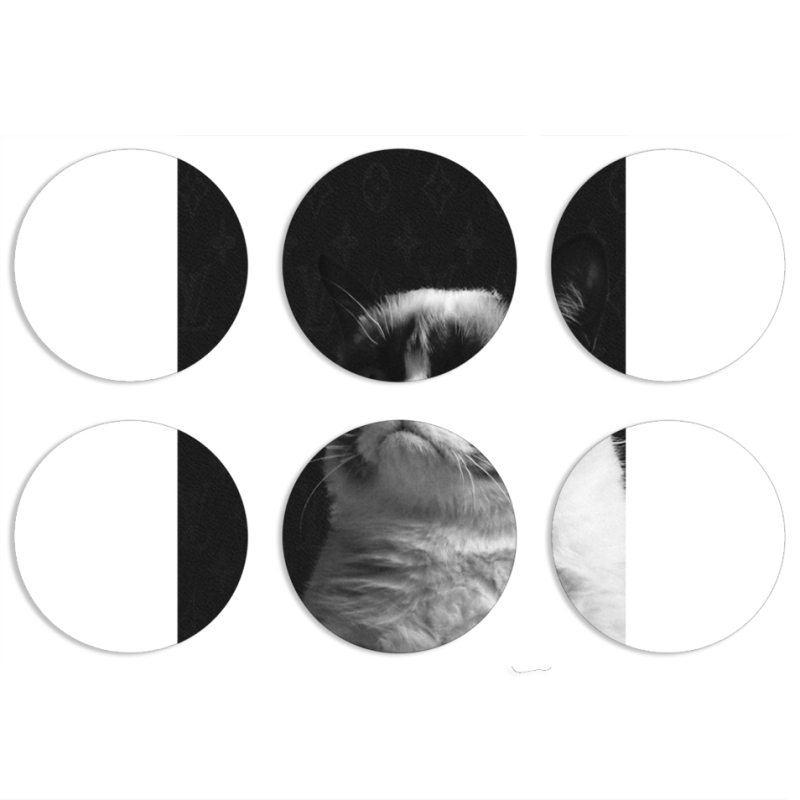 Магнитные фотопазлы круги d55 набор 6 штук 