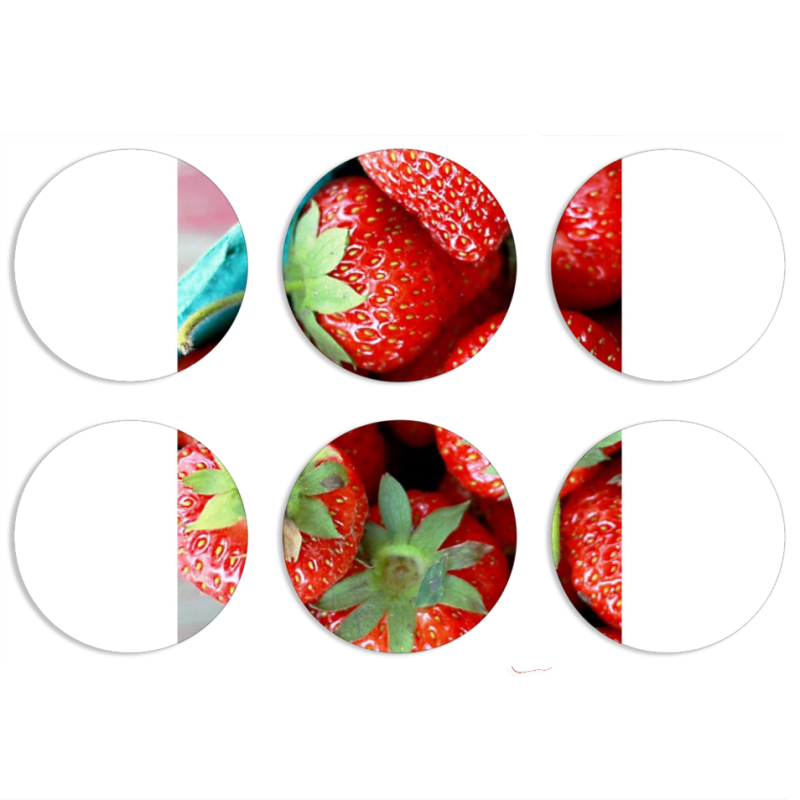 Магнитные фотопазлы круги d55 набор 6 штук 