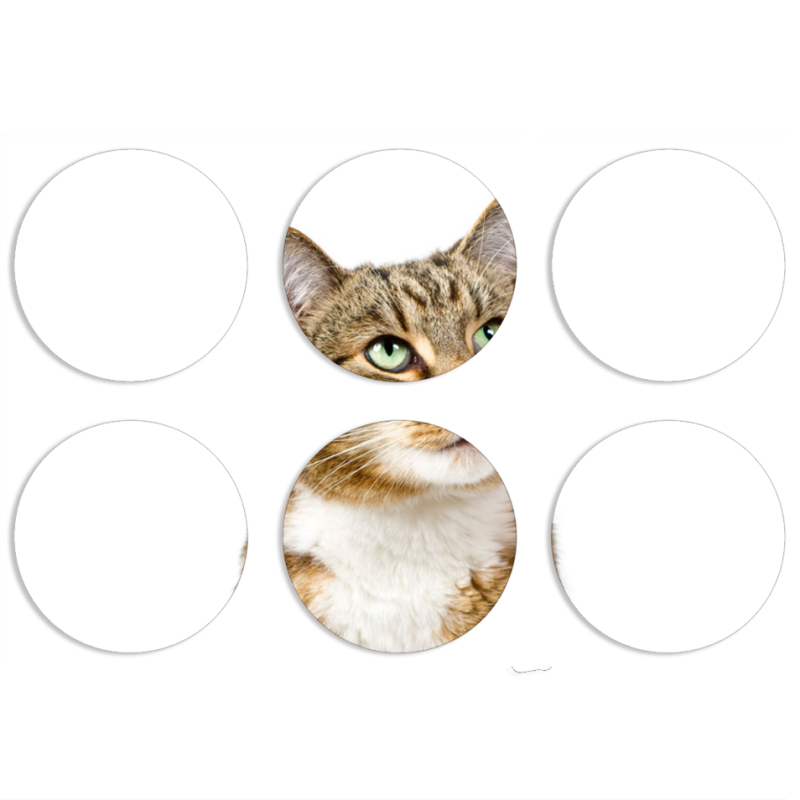 Магнитные фотопазлы круги d55 набор 6 штук 