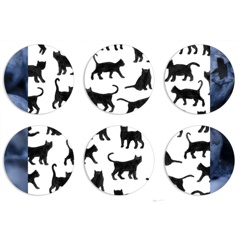 Магнитные фотопазлы круги d55 набор 6 штук 