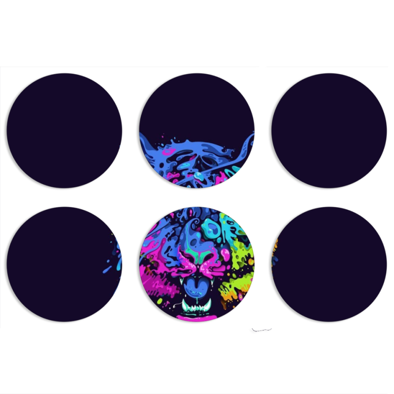 Магнитные фотопазлы круги d55 набор 6 штук 