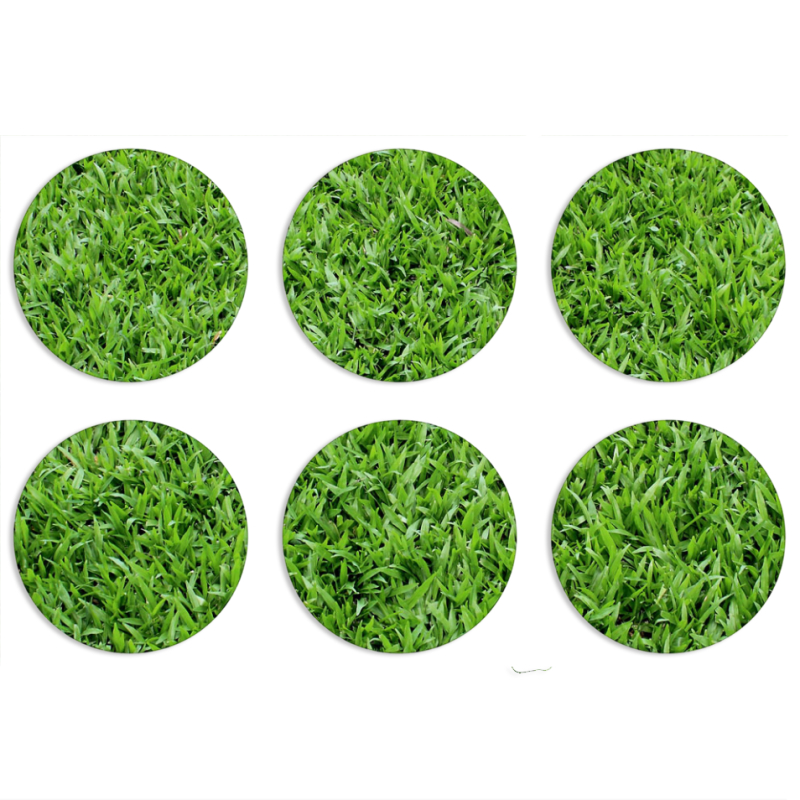 Магнитные фотопазлы круги d55 набор 6 штук 