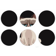 Магнитные фотопазлы круги d55 набор 6 штук 