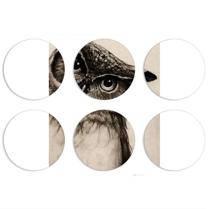 Магнитные фотопазлы круги d55 набор 6 штук 