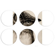 Магнитные фотопазлы круги d55 набор 6 штук 