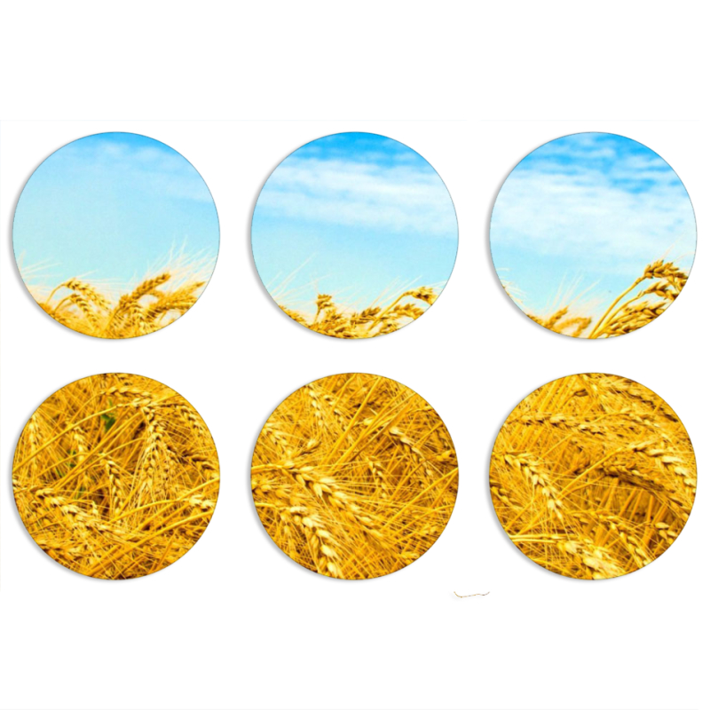 Магнитные фотопазлы круги d55 набор 6 штук 