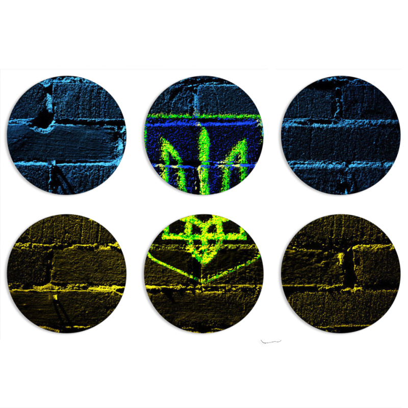 Магнитные фотопазлы круги d55 набор 6 штук Trident