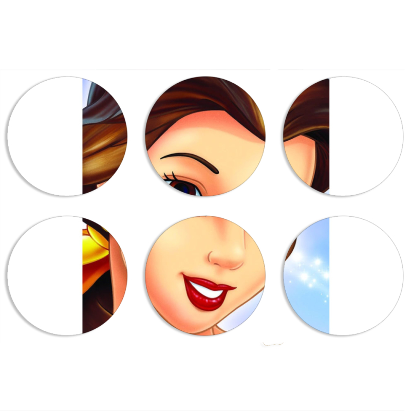 Магнитные фотопазлы круги d55 набор 6 штук 