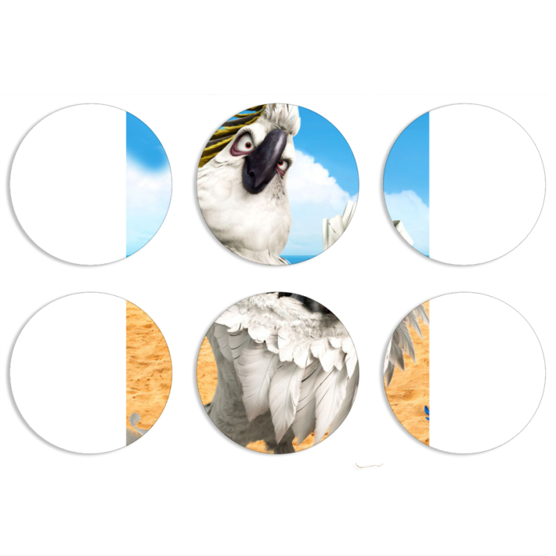 Магнитные фотопазлы круги d55 набор 6 штук 