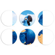 Магнитные фотопазлы круги d55 набор 6 штук 