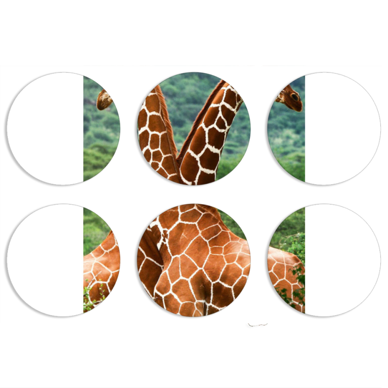 Магнитные фотопазлы круги d55 набор 6 штук 