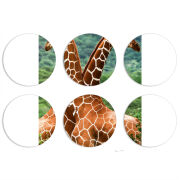 Магнитные фотопазлы круги d55 набор 6 штук 