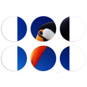 Магнитные фотопазлы круги d55 набор 6 штук 