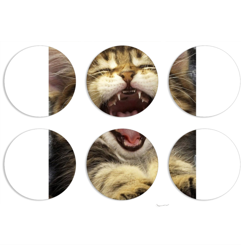 Магнитные фотопазлы круги d55 набор 6 штук 