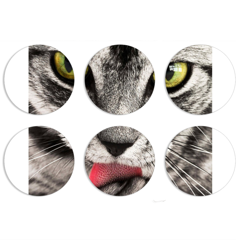 Магнитные фотопазлы круги d55 набор 6 штук 