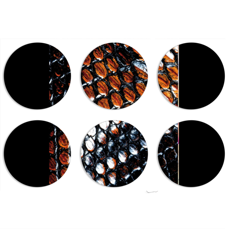 Магнитные фотопазлы круги d55 набор 6 штук 