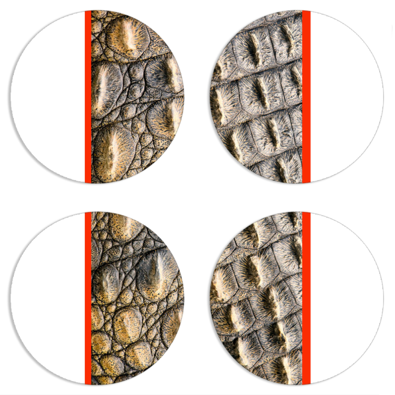 Магнитные фотопазлы круги d55 набор 4 штуки 