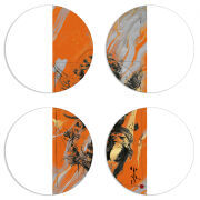 Магнитные фотопазлы круги d55 набор 4 штуки 