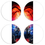 Магнитные фотопазлы круги d55 набор 4 штуки 
