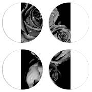 Магнитные фотопазлы круги d55 набор 4 штуки Black and White Roses