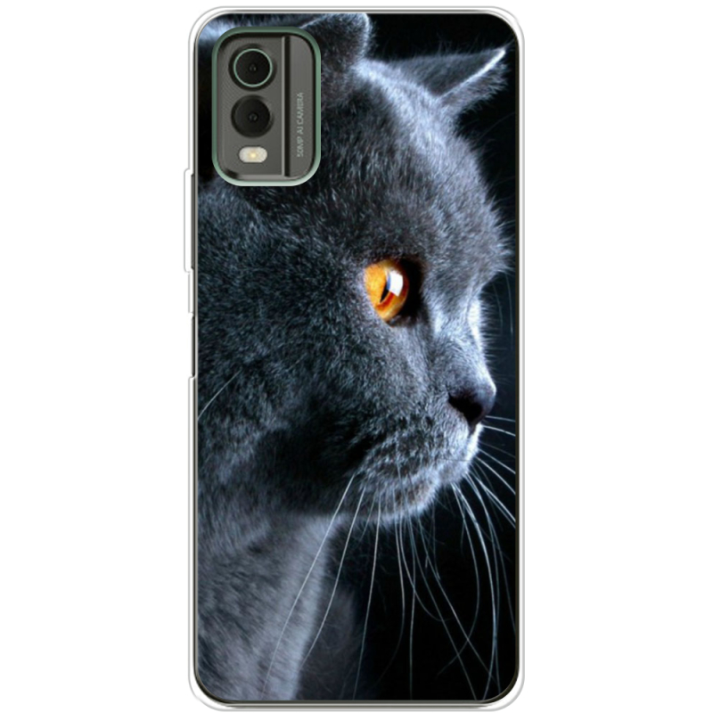 Чехол BoxFace Nokia C32 English cat