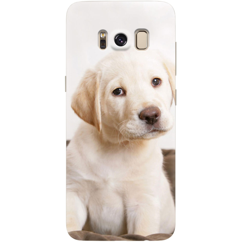 Чехол Uprint Samsung G950 Galaxy S8 Puppy Labrador