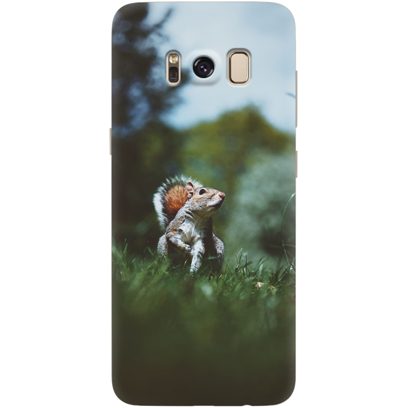 Чехол Uprint Samsung G950 Galaxy S8 