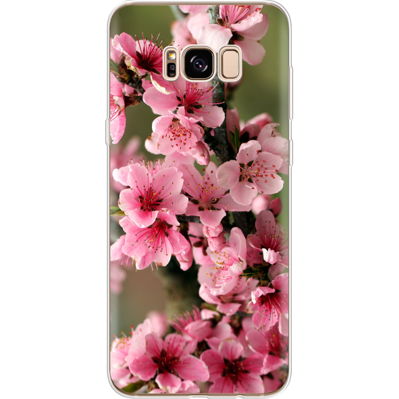 Чехол Uprint Samsung G955 Galaxy S8 Plus Вишневые Цветы