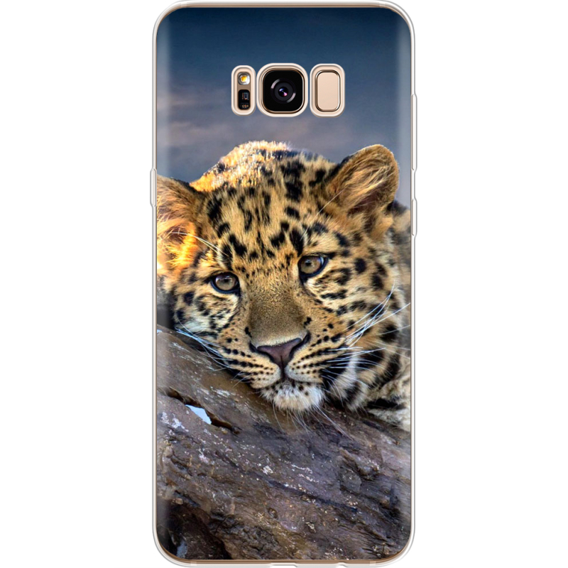Чехол Uprint Samsung G955 Galaxy S8 Plus 