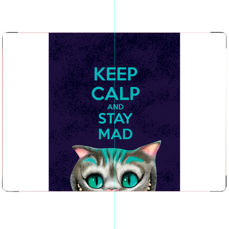 ПАСПОРТ Stay Mad