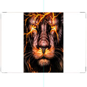 ПАСПОРТ Fire Lion