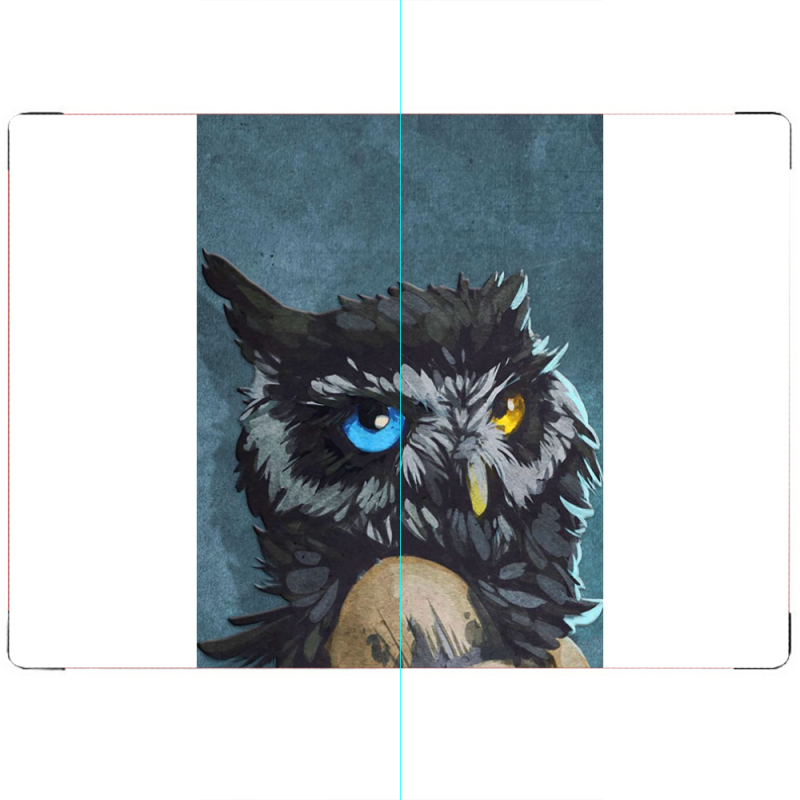 ПАСПОРТ Owl Woman