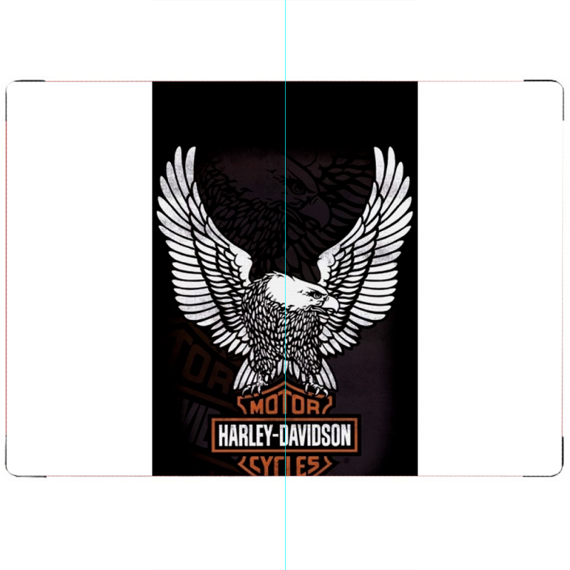 ПАСПОРТ Harley Davidson and eagle