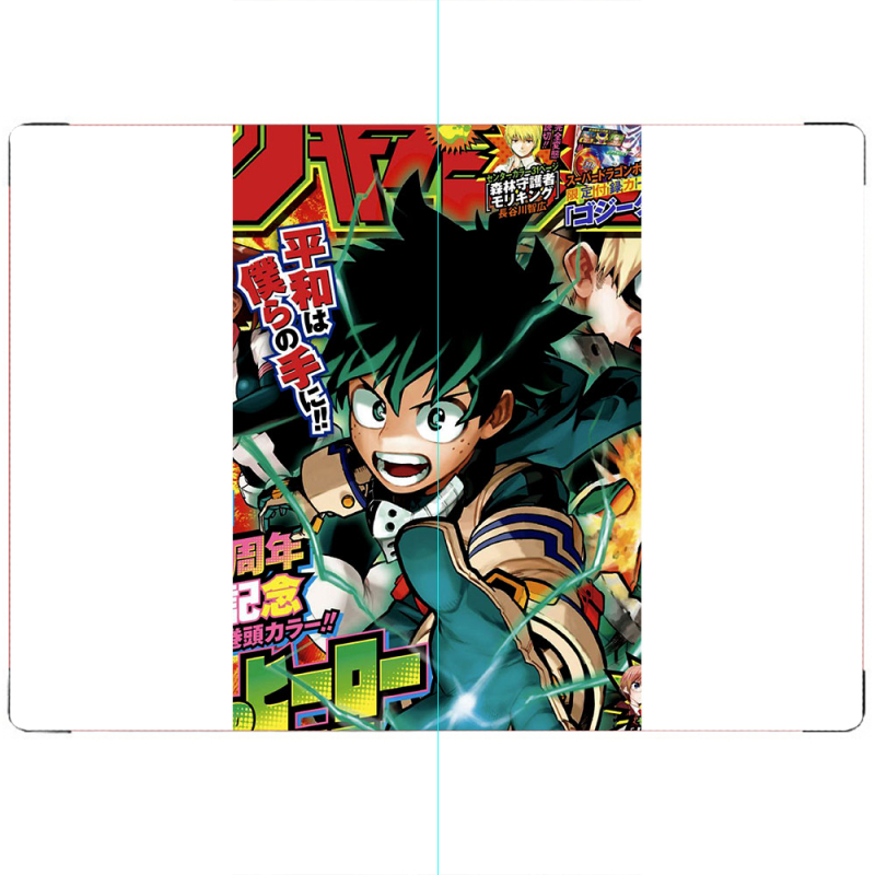 ПАСПОРТ My Hero Academia