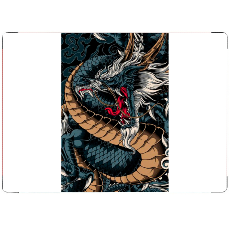 ПАСПОРТ Dragon Ryujin