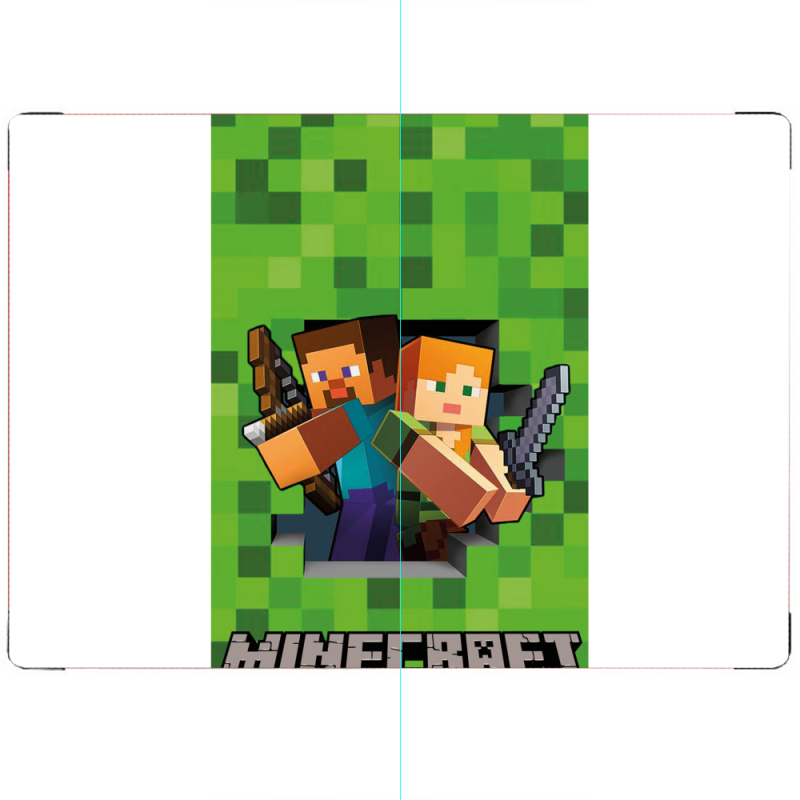 ПАСПОРТ Майнкрафт Стів і Алекс