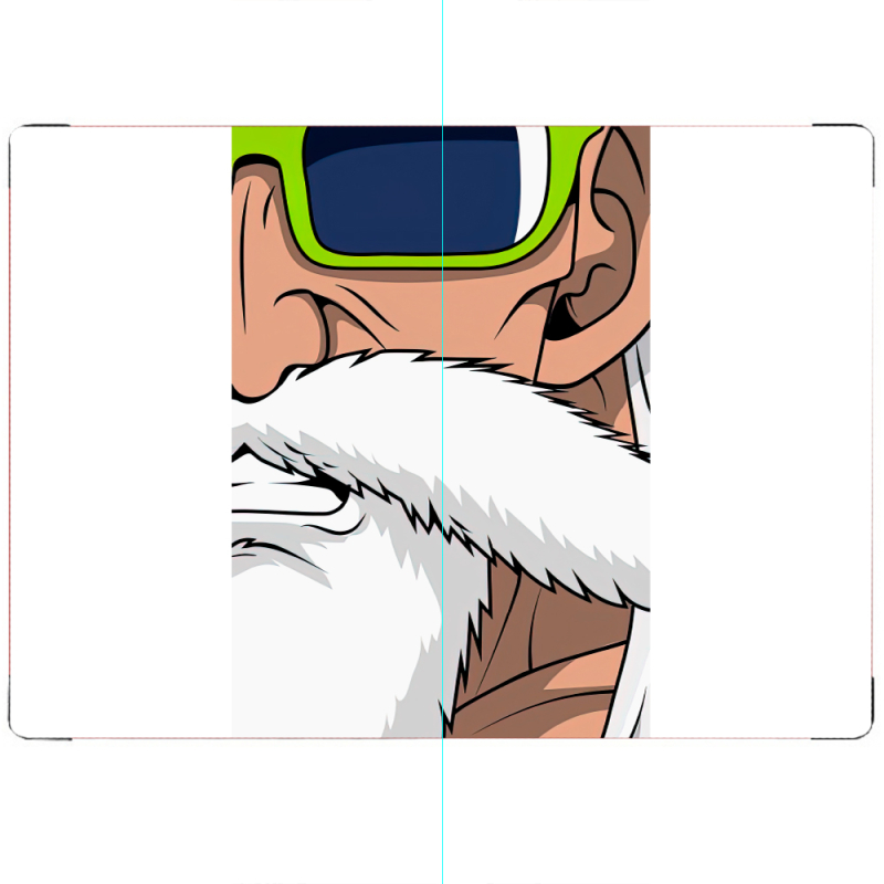 ПАСПОРТ Master Roshi