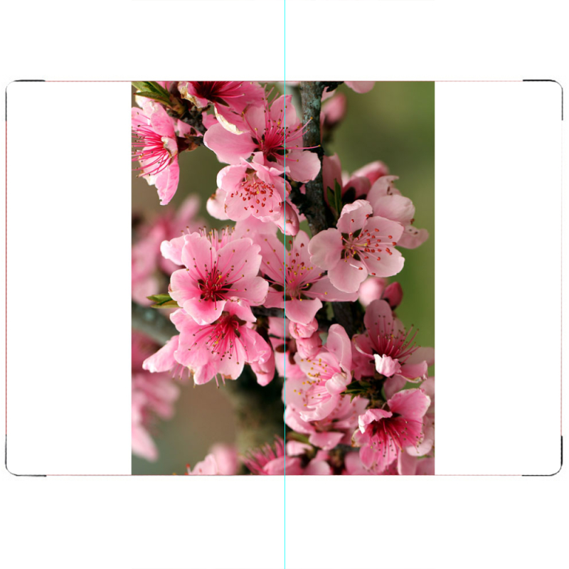 ПАСПОРТ Вишневые Цветы