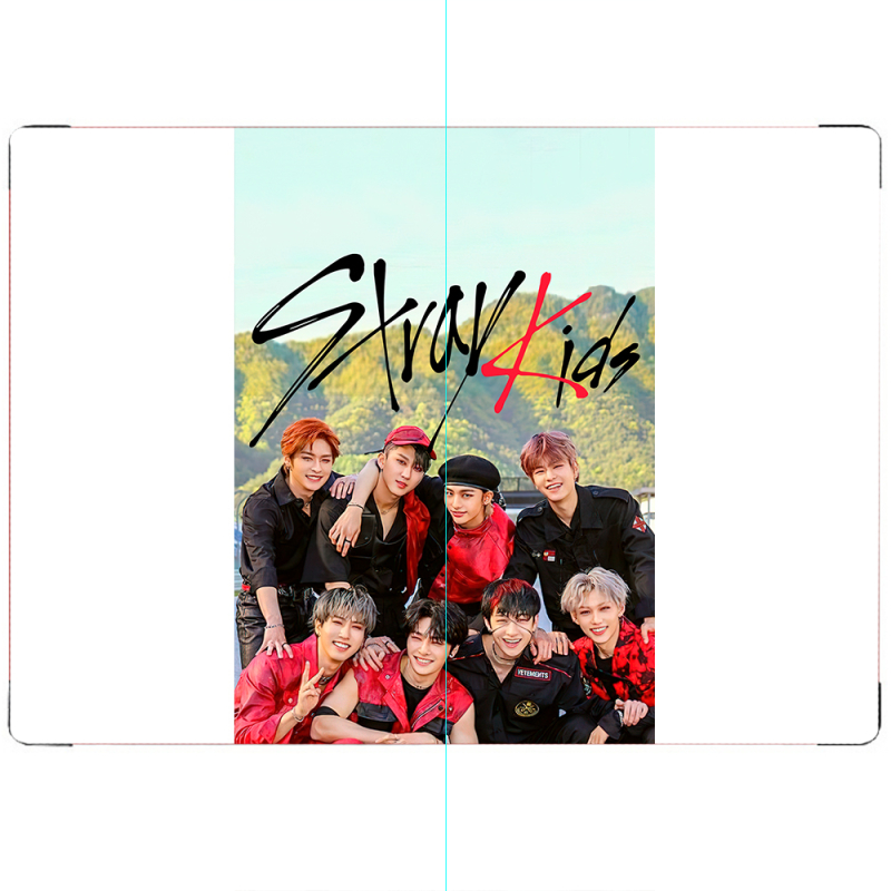 ПАСПОРТ Stray Kids Boy Band
