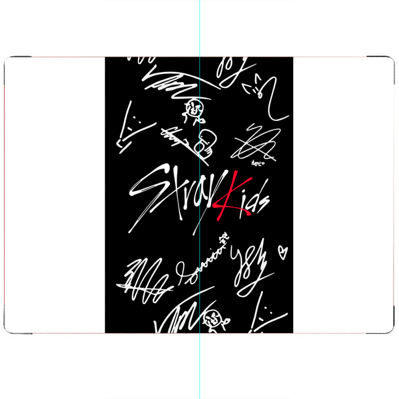 ПАСПОРТ Stray Kids автограф