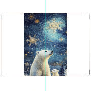 ПАСПОРТ Північні ведмеді