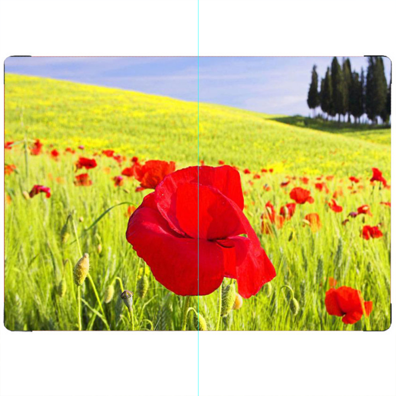 ПАСПОРТ Мак