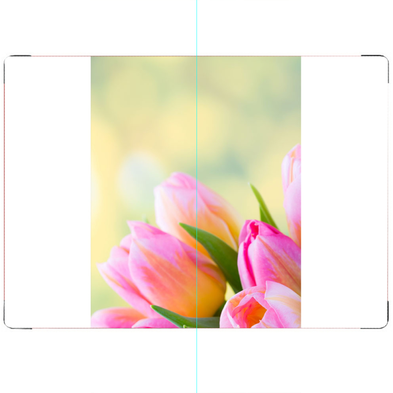 ПАСПОРТ Bouquet of Tulips