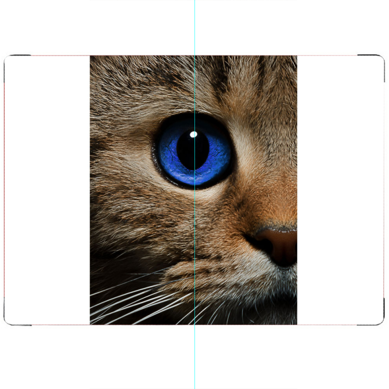 ПАСПОРТ Cat's Eye