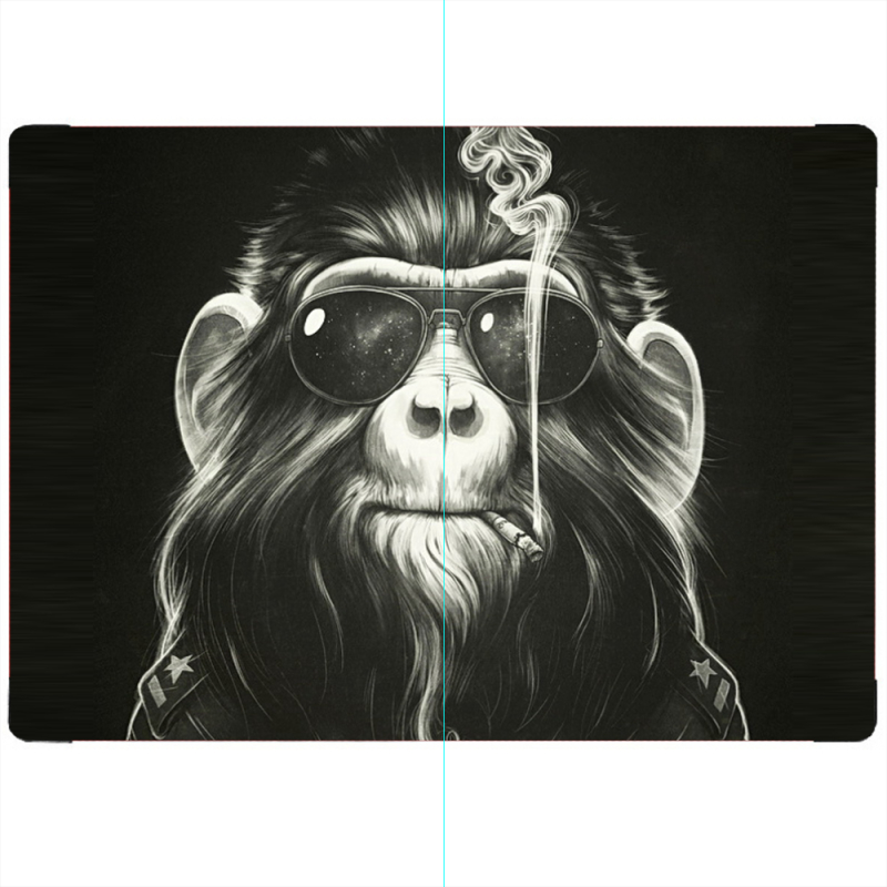 ПАСПОРТ Smokey Monkey