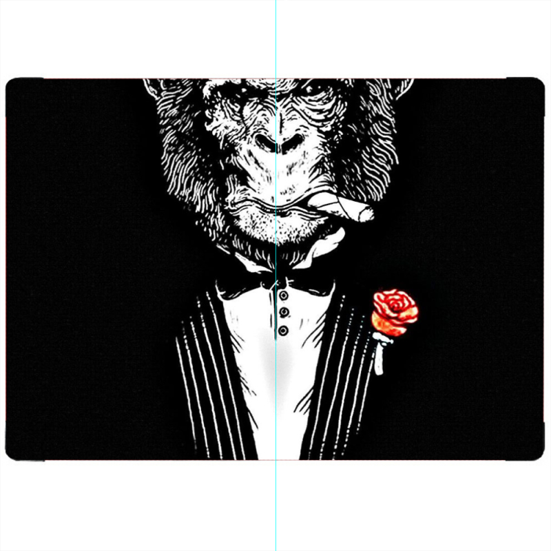 ПАСПОРТ Monkey Don