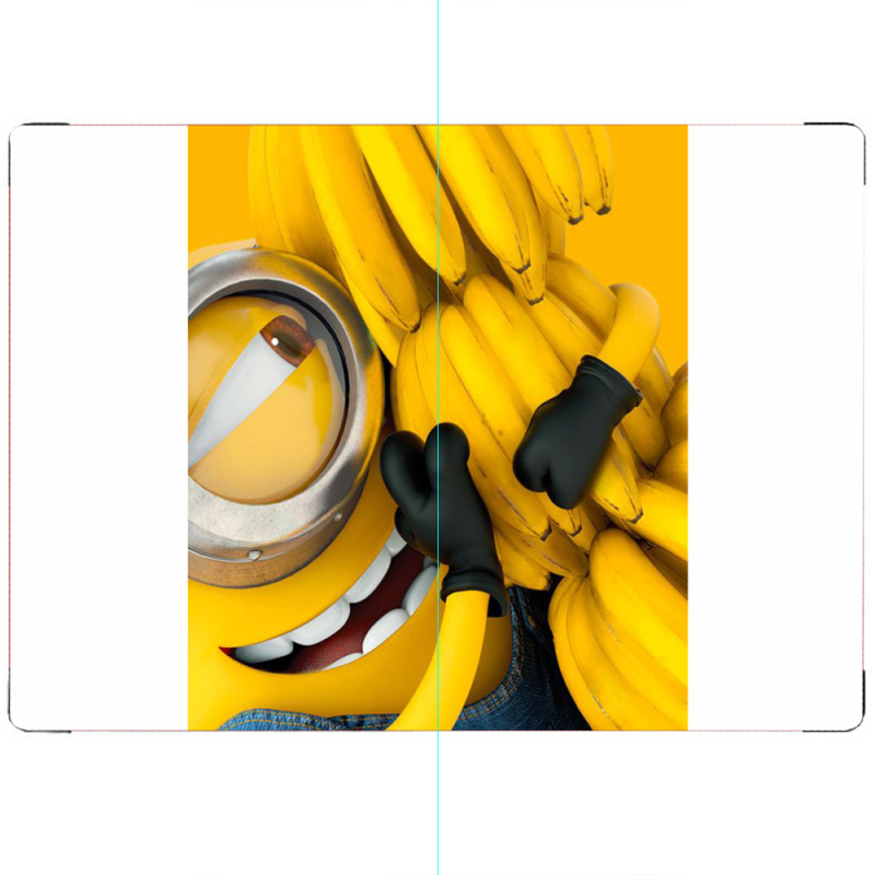 ПАСПОРТ Миньон Стюарт