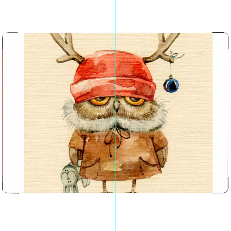 ПАСПОРТ Милая Сова