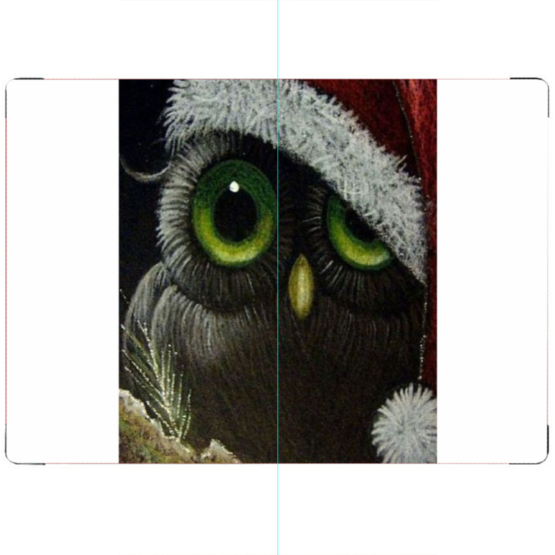 ПАСПОРТ Christmas Owl
